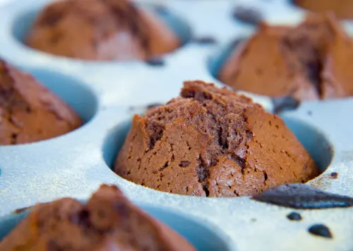 Food & Beverage Industry Boiler