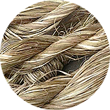 Jute