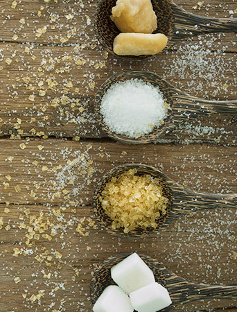 Sugar-Plant
